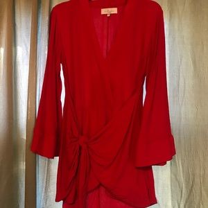 the janeiro mini dress